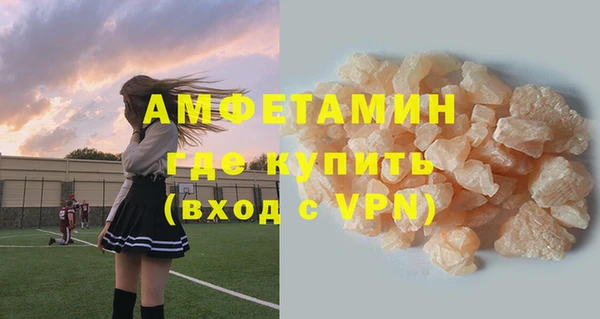 прущие грибы Балахна