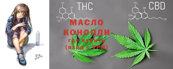 прущие грибы Балахна