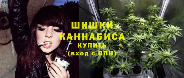 прущие грибы Балахна
