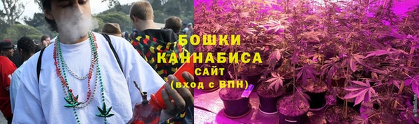 прущие грибы Балахна