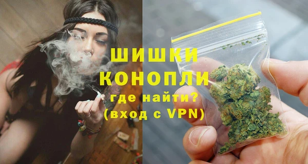 прущие грибы Балахна