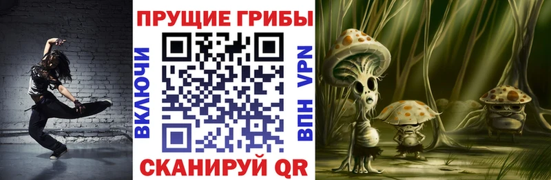 Псилоцибиновые грибы Psilocybe  Певек 