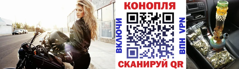 где можно купить   Певек  Канабис Amnesia 